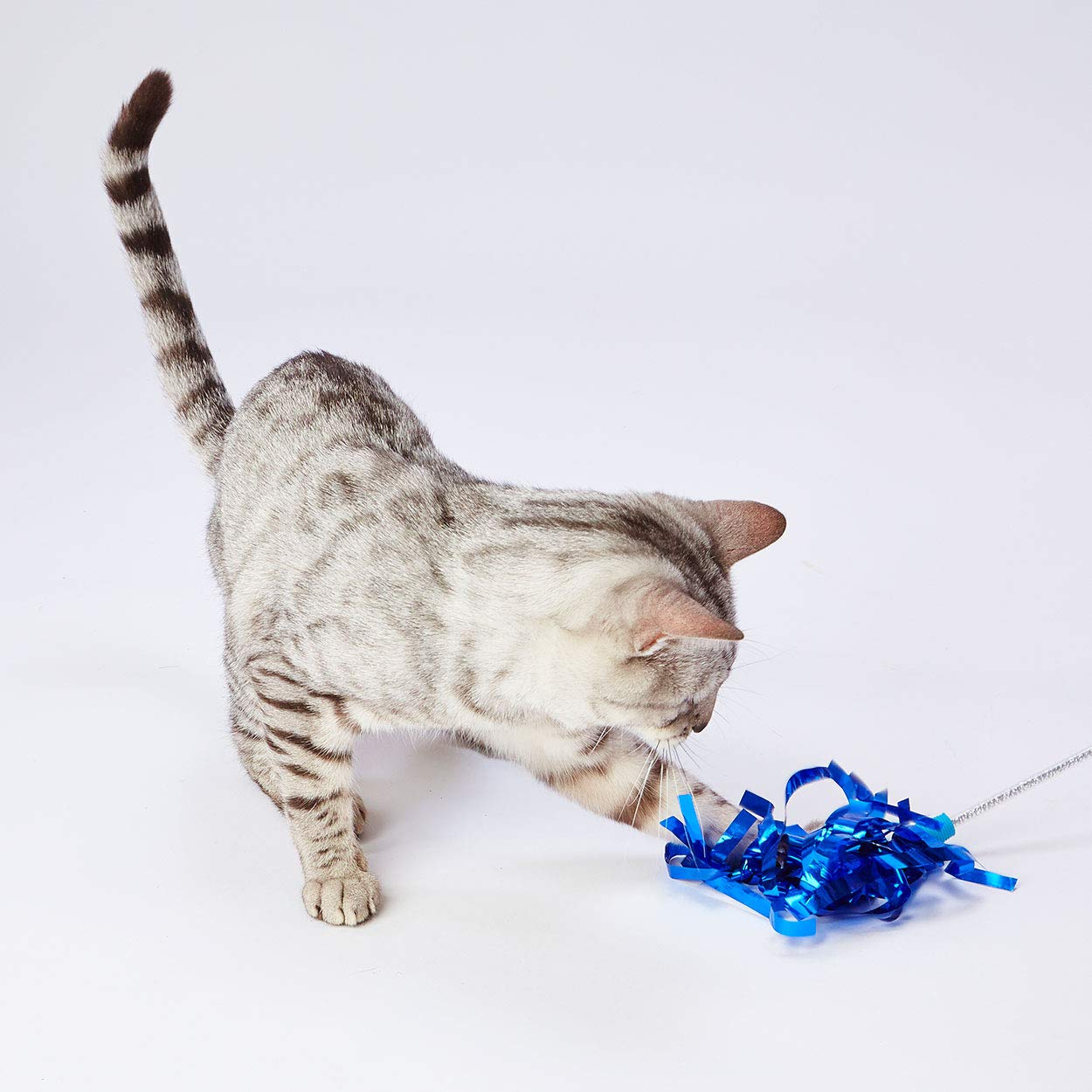 にゃーお ExWOツアー大阪 #mikina_ExWHYZ #ニャオカメラ